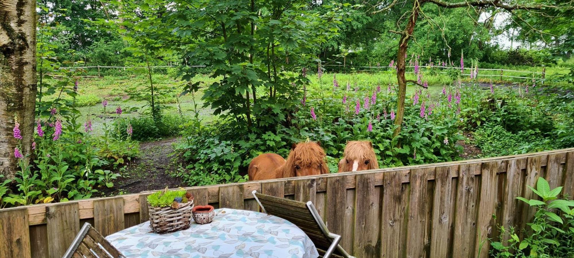 Rust En Stilte In De Natuur Onstwedde Εξωτερικό φωτογραφία